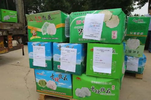 保障“菜篮子”，西城区结对帮扶地区扶贫产品物流配送中心正式投入运营